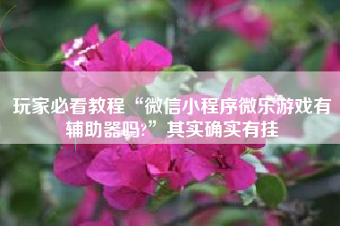 玩家必看教程“微信小程序微乐游戏有辅助器吗?”其实确实有挂