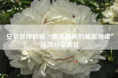 安装程序教程“微乐麻将的输赢规律”详细分享装挂