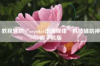 教程辅助“wepoker出牌规律”科技辅助神器手机版