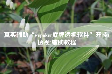 真实辅助“wepoker底牌透视软件”开挂(透视)辅助教程