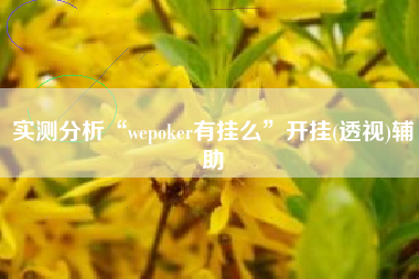 实测分析“wepoker有挂么”开挂(透视)辅助