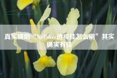 真实辅助“WePoker透视挂怎么用”其实确实有挂