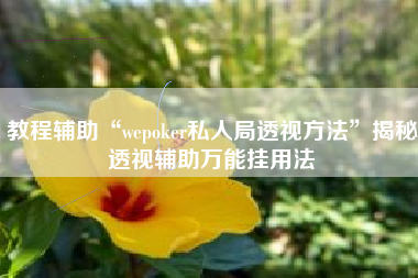 教程辅助“wepoker私人局透视方法”揭秘透视辅助万能挂用法 教程辅助“wepoker私人局透视方法”揭秘透视辅助万能挂用法