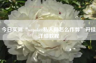 今日实测“wepoker私人局怎么作弊”开挂详细教程