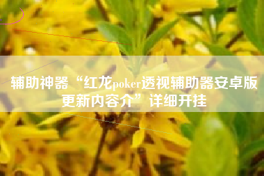 辅助神器“红龙poker透视辅助器安卓版更新内容介”详细开挂