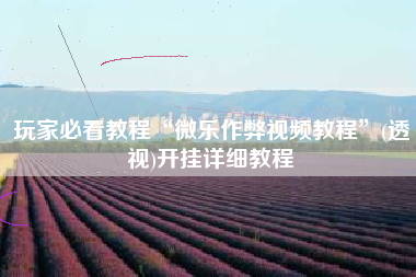 玩家必看教程“微乐作弊视频教程”(透视)开挂详细教程