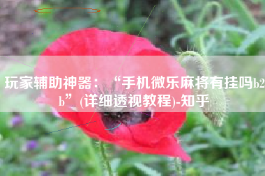 玩家辅助神器：“手机微乐麻将有挂吗b2b”(详细透视教程)-知乎