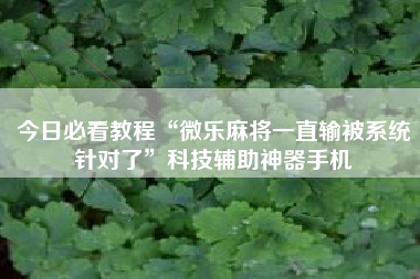 今日必看教程“微乐麻将一直输被系统针对了”科技辅助神器手机