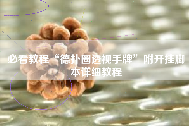 必看教程“德扑圈透视手牌”附开挂脚本详细教程