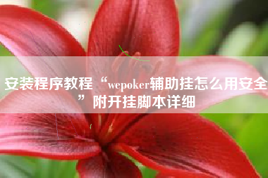 安装程序教程“wepoker辅助挂怎么用安全	”附开挂脚本详细
