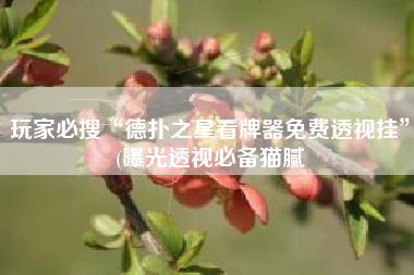 玩家必搜“德扑之星看牌器免费透视挂”(曝光透视必备猫腻