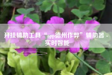开挂辅助工具“app德州作弊	”辅助器 - 实时智能