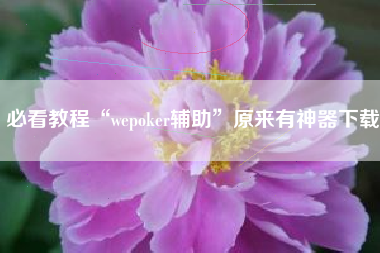 必看教程“wepoker辅助”原来有神器下载
