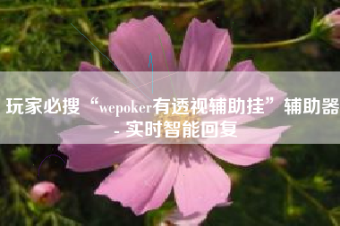 玩家必搜“wepoker有透视辅助挂	”辅助器 - 实时智能回复