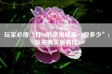 玩家必搜“打50的德州输赢一般多少”(原来确实是有挂)