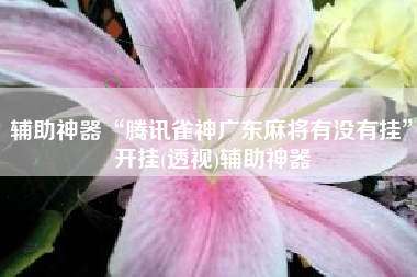 辅助神器“腾讯雀神广东麻将有没有挂”开挂(透视)辅助神器