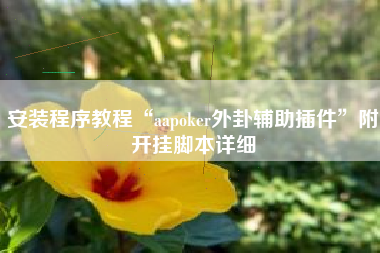 安装程序教程“aapoker外卦辅助插件”附开挂脚本详细