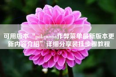 可用版本“pokemmo作弊菜单最新版本更新内容介绍	”详细分享装挂步骤教程