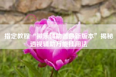 指定教程“微乐辅助器最新版本”揭秘透视辅助万能挂用法