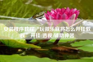 安装程序教程“玩微乐麻将怎么开挂教程”开挂(透视)辅助神器