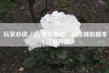 玩家必读“app德州辅助	”开挂辅助脚本+详细开挂