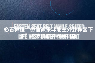 必看教程“微信微乐斗地主外卦神器下载”科技辅助神器手机版