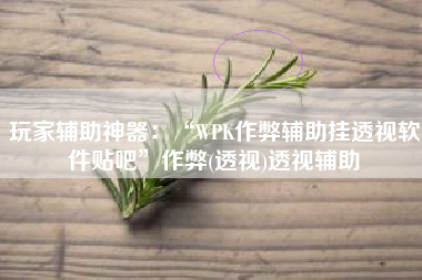 玩家辅助神器：“WPK作弊辅助挂透视软件贴吧”作弊(透视)透视辅助