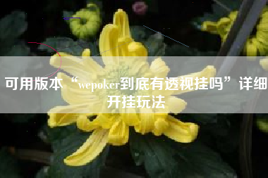 可用版本“wepoker到底有透视挂吗	”详细开挂玩法