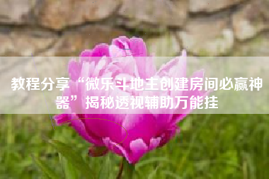 教程分享“微乐斗地主创建房间必赢神器”揭秘透视辅助万能挂