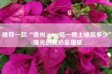 推荐一款“德州50/100局一晚上输赢多少”(曝光透视必备猫腻