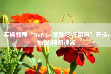 实操教程“WePoker辅助器好用吗”开挂(透视)辅助神器