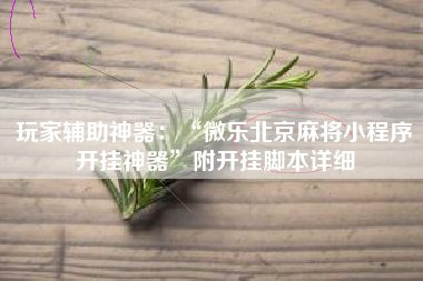 玩家辅助神器：“微乐北京麻将小程序开挂神器	”附开挂脚本详细