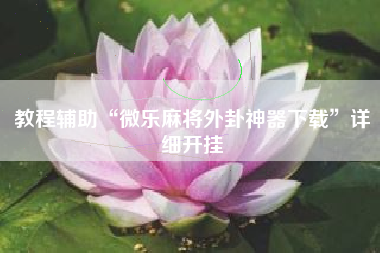 教程辅助“微乐麻将外卦神器下载	”详细开挂