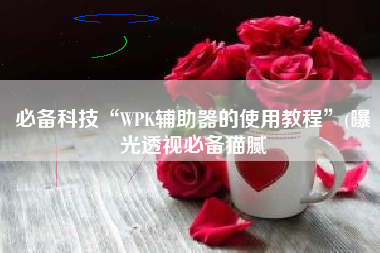 必备科技“WPK辅助器的使用教程”(曝光透视必备猫腻