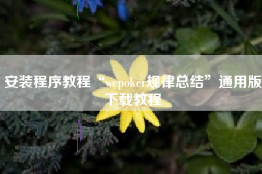 安装程序教程“wepoker规律总结”通用版下载教程
