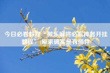 今日必看教程“微乐麻将必赢神器开挂教程”(原来确实是有插件