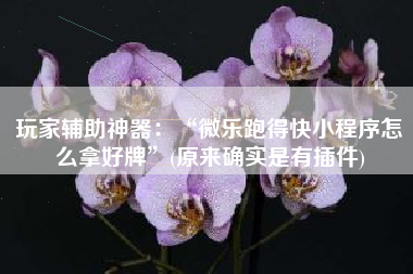 玩家辅助神器：“微乐跑得快小程序怎么拿好牌”(原来确实是有插件)