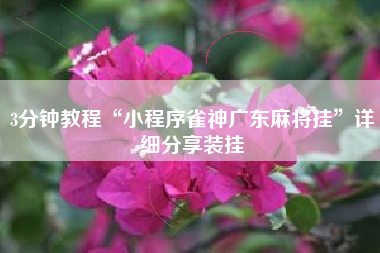 3分钟教程“小程序雀神广东麻将挂	”详细分享装挂