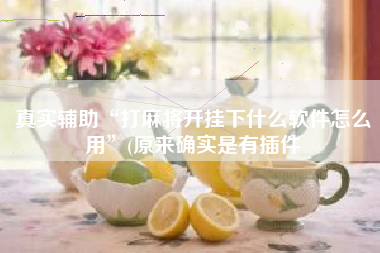 真实辅助“打麻将开挂下什么软件怎么用”(原来确实是有插件