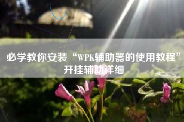 必学教你安装“WPK辅助器的使用教程”开挂辅助详细