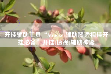 开挂辅助工具“AGpoker辅助器透视挂开挂必备”开挂(透视)辅助神器