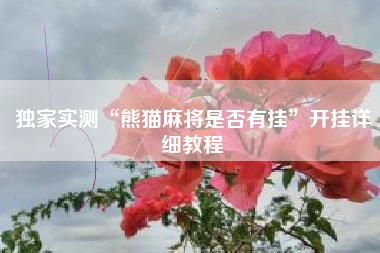 独家实测“熊猫麻将是否有挂”开挂详细教程