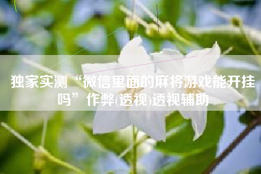 独家实测“微信里面的麻将游戏能开挂吗”作弊(透视)透视辅助