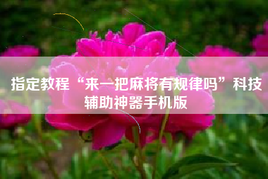指定教程“来一把麻将有规律吗”科技辅助神器手机版