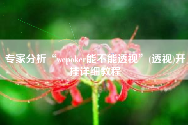 专家分析“wepoker能不能透视”(透视)开挂详细教程