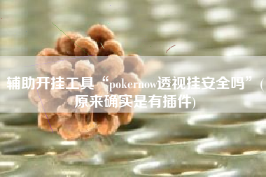 辅助开挂工具“pokernow透视挂安全吗”(原来确实是有插件)