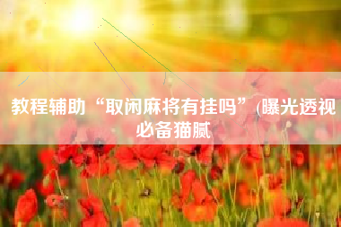 教程辅助“取闲麻将有挂吗”(曝光透视必备猫腻