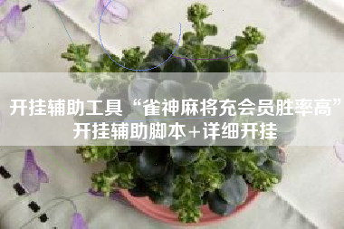 开挂辅助工具“雀神麻将充会员胜率高	”开挂辅助脚本+详细开挂