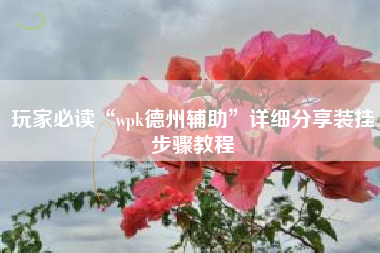 玩家必读“wpk德州辅助	”详细分享装挂步骤教程
