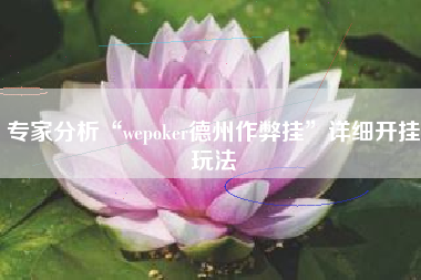 专家分析“wepoker德州作弊挂”详细开挂玩法